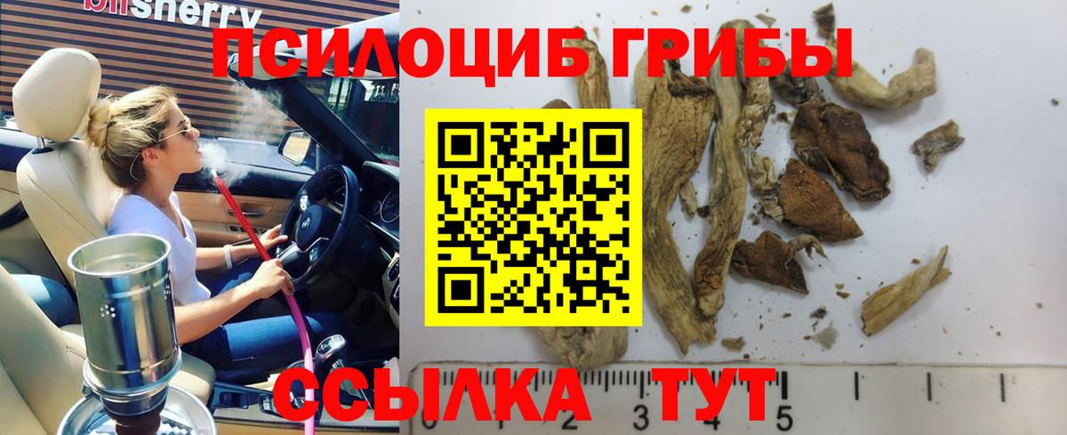 Псилоцибиновые грибы Cubensis  Галлюциногенные грибы Magic Shrooms  Вход с VPN  Петрозаводск 